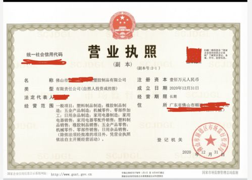 順德塑料制品公司新手指南 依托國內貿易代理完成公司注冊全流程